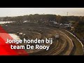 Vic Versteijnen, jonge hond bij Team de Rooy in Dakar Rally