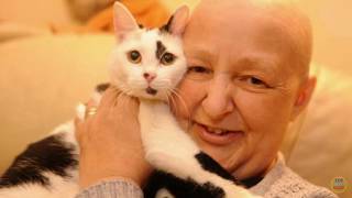 15 Unbelievable Animals That Saved People’s Lives