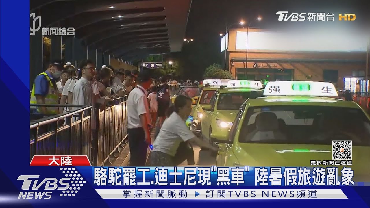 駱駝罷工!迪士尼現「黑車」 陸暑假旅遊亂象
