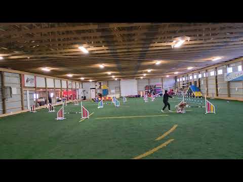 Argo - Jumping 2 UKI Home Video Open Level WK 185