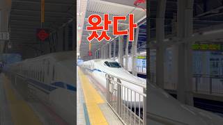 하카타에 가본적이 있어요? 신칸센 승강장에 듣는 멜로디가 나무 그립네. #shorts #short #신칸센 #하카타역