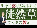 徒然草に学ぶ生きるヒントと心の安らぎ【日本三大随筆とブッダの教え】