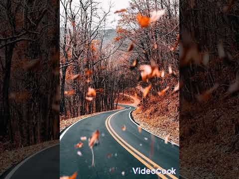 jador-Mama(Versuri /Lyrics)