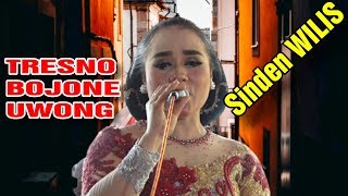 Download lagu TRESNO BOJONE UWONG WILIS Cantik mp3 Download lagu TRESNO BOJONE UWONG WILIS Cantik mp3
