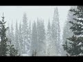 Devilgroth Landschaft Full Album Raw Atmospheric Black Metal Dark Ambient