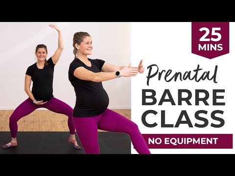 Second Trimester Pregnancy Workout Program Free