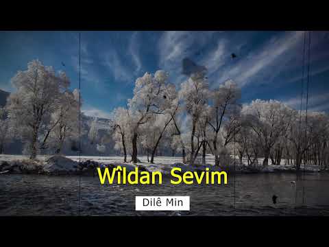 Wîldan Sevim - Dilê Min