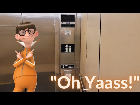 Run Down but EPIC Montgomery Vector Traction Elevator | Bloomingdale's | Chicago, IL