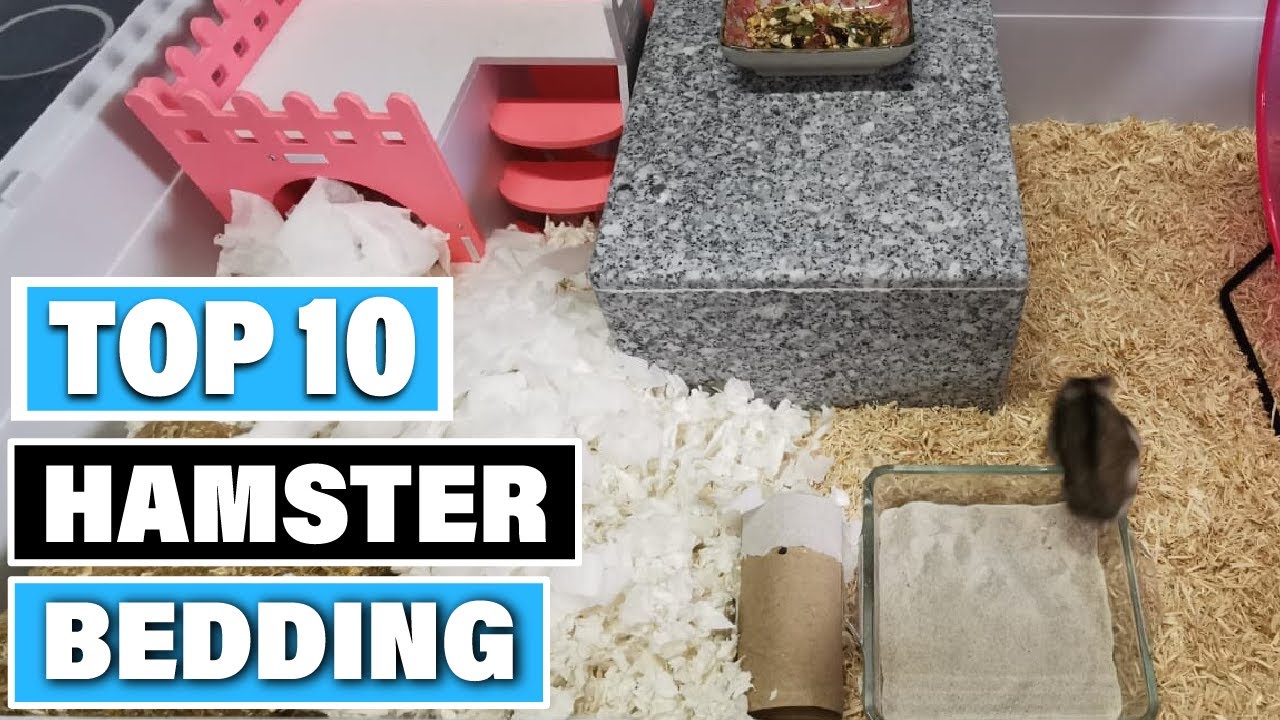 Best Hamster Bedding In 2023 - Top 10 Hamster Beddings Review