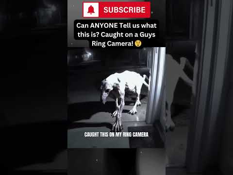Mysterious Creature Caught on Ring Camera!? 😳 What Could It Be? #mystery  #shorts #fyp #shortsfeed