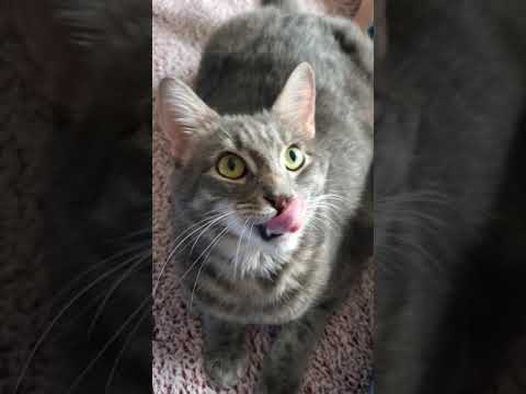 Toshiko training session