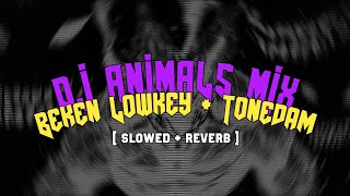 Download lagu DJ ANIMALS ( BEKEN LOWKEY   TONEDAM ) ( slowed   reverb ) mp3