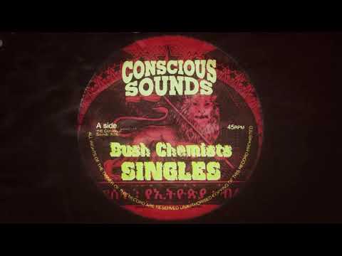 Ras Mcbean and The Bush Chemists - Pray & Dub