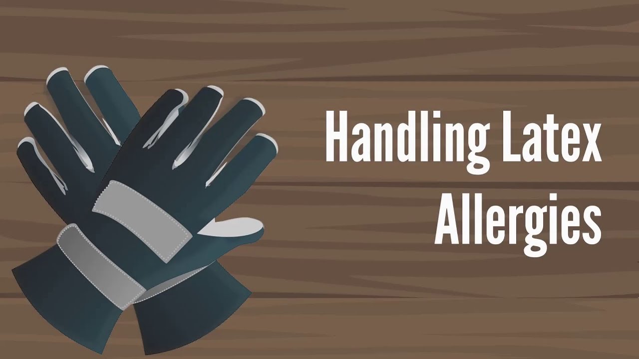 Which members of Nirvana are in the Foo Fighters? Tipseri