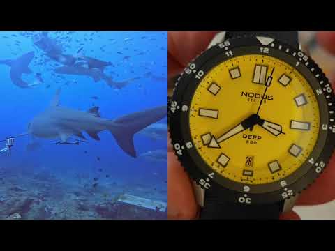 Nodus Sector Deep Dive Watch Review