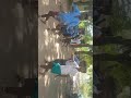 Athipatti Pidhumarriamman Koil Karagattam In Gn Patti Boys In Maduri