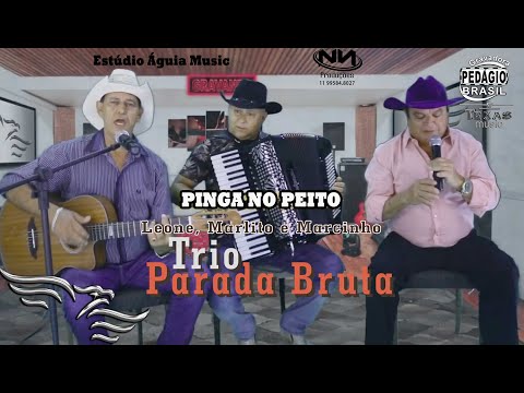 Pinga no Peito - TRIO PARADA BRUTA - Leone, Marlito e Marcinho (Gravado no Estúdio Águia Music)