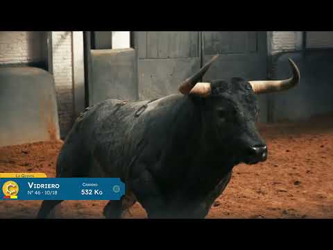SORTEO | Toros de La Quinta, 17 mayo