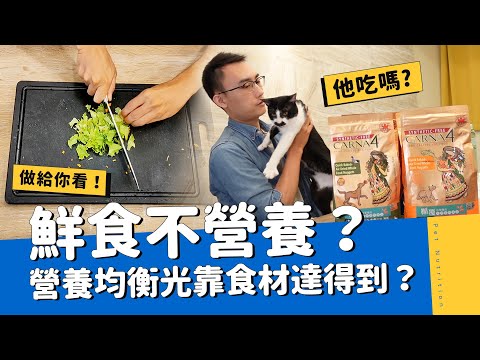 寵物比例