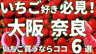 【大阪 奈良 グルメ】いちご好き必見！大阪 奈良のイチゴ直売所🍓買うならココ ６選✨✨【直売所】