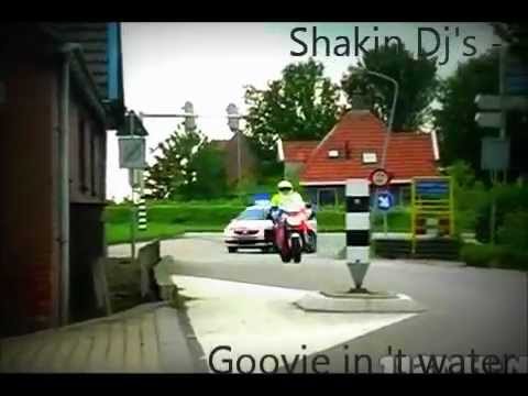 Shakin Dj's - Goovie in 't water