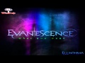 Evanescence - What You Want (Single) 