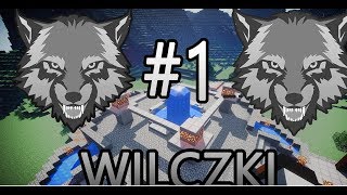 Miniaturka - wilczki.msvr.pl #1 Zabijamy 1 na serwie Withera