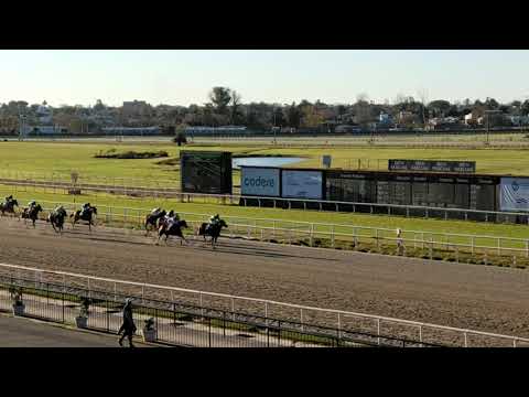 Justice Cat - Clásico Asociación de Propietarios