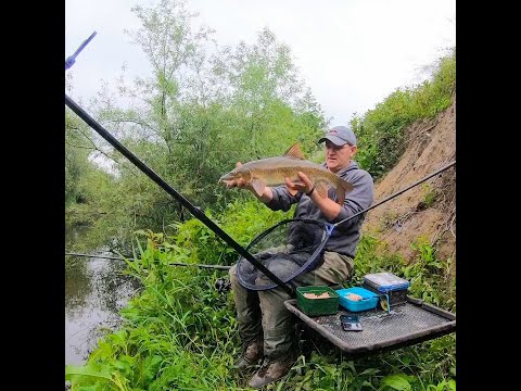 Angling Escapades   River Wye June 16th