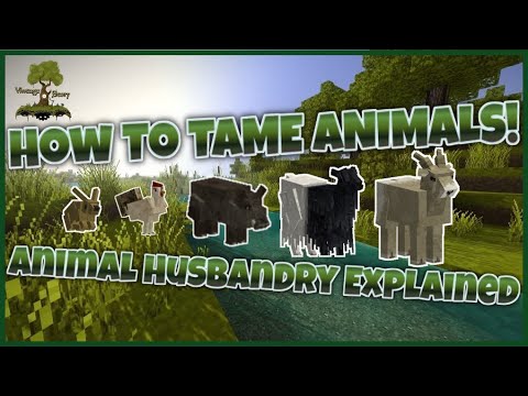 FEEDING, BREEDING & CATCHING ANIMALS.. Animal Taming Explained! | Vintage Story