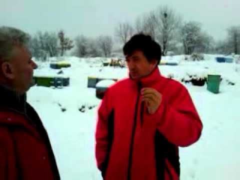 ApisPuisoru apicultura de la A-Z   video 6