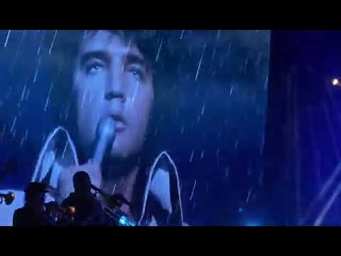 Kentucky rain-dean z