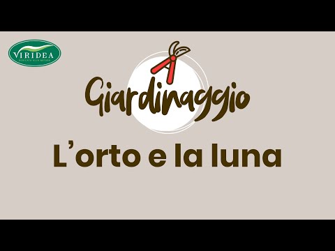 Mal di schiena 7 mesi dopo il parto Lultima tappa osteoartrite del ginocchio