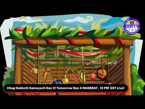 YAHUSHA E A LIBAÇÃO DE SUCÔTE - Chag Sukot Sameach dia 3 - 07/10/2022