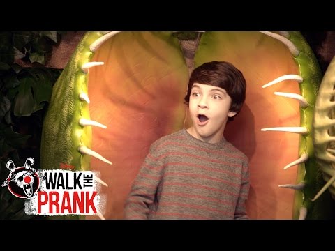Plant Attack | Walk the Prank | Disney XD
