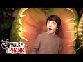 Plant Attack Walk The Prank Disneychannel