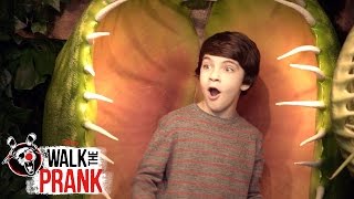 Plant Attack | Walk the Prank | Disney XD