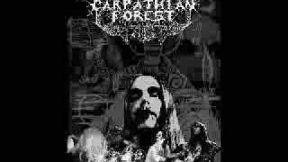 Carpathian Forest - Spill the Blodd of the Lamb