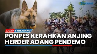 LIVE: Ponpes Al Zaytun Didemo, Syekh Panji Gumilang Siapkan Anjing Herder Sebagai Pertahanan