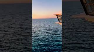 What is love? ❤️ Msc Cruises #whatislove #msccruises #mscfriends