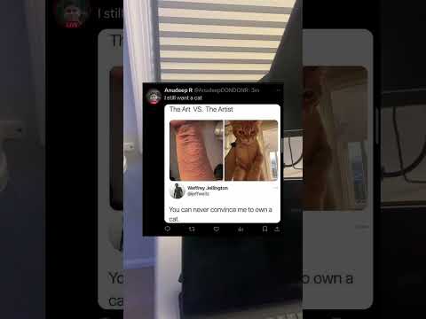 That’s a good cat right there