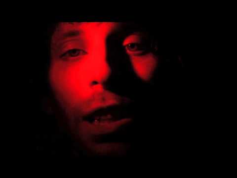 Whales In Cubicles - All The Pretty Flowers (Official Video)