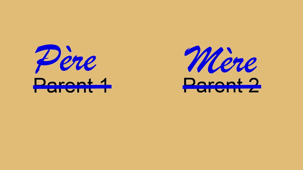 Parents 1 et 2 : loi pédophobe, islamophobe et christianophobe Parents 1 et 2 : loi pédophobe, islamophobe et christianophobe