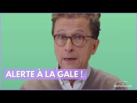 Alerte à la gale ! - La Maison des maternelles #LMDM