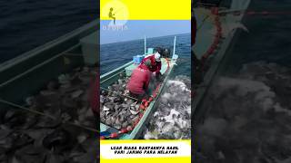 Download lagu Para Nelayan Berhasil Menjaring Begitu Banyak Ikan Di Laut #shorts #short #shortvideo #viral #fish mp3 Download lagu Para Nelayan Berhasil Menjaring Begitu Banyak Ikan Di Laut #shorts #short #shortvideo #viral #fish mp3