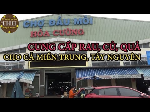 Chợ đầu mối Hòa Cường, Đà Nẵng || Wholesale markets Hoa Cuong, Da Nang city ||TMH