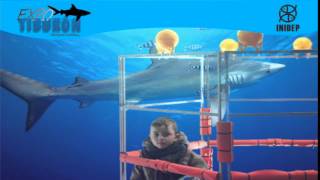 DIA 3 Expo Tiburon193