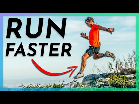 Study Discovers How to Run Faster with 45% Less Training