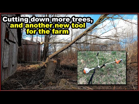 Testing the Echo CS-490 chainsaw, AND the Stihl FS-56C weed trimmer at the farm