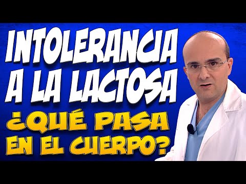 LACTOSE INTOLERANCE - What happens inside the bodies of those who suffer from it?
